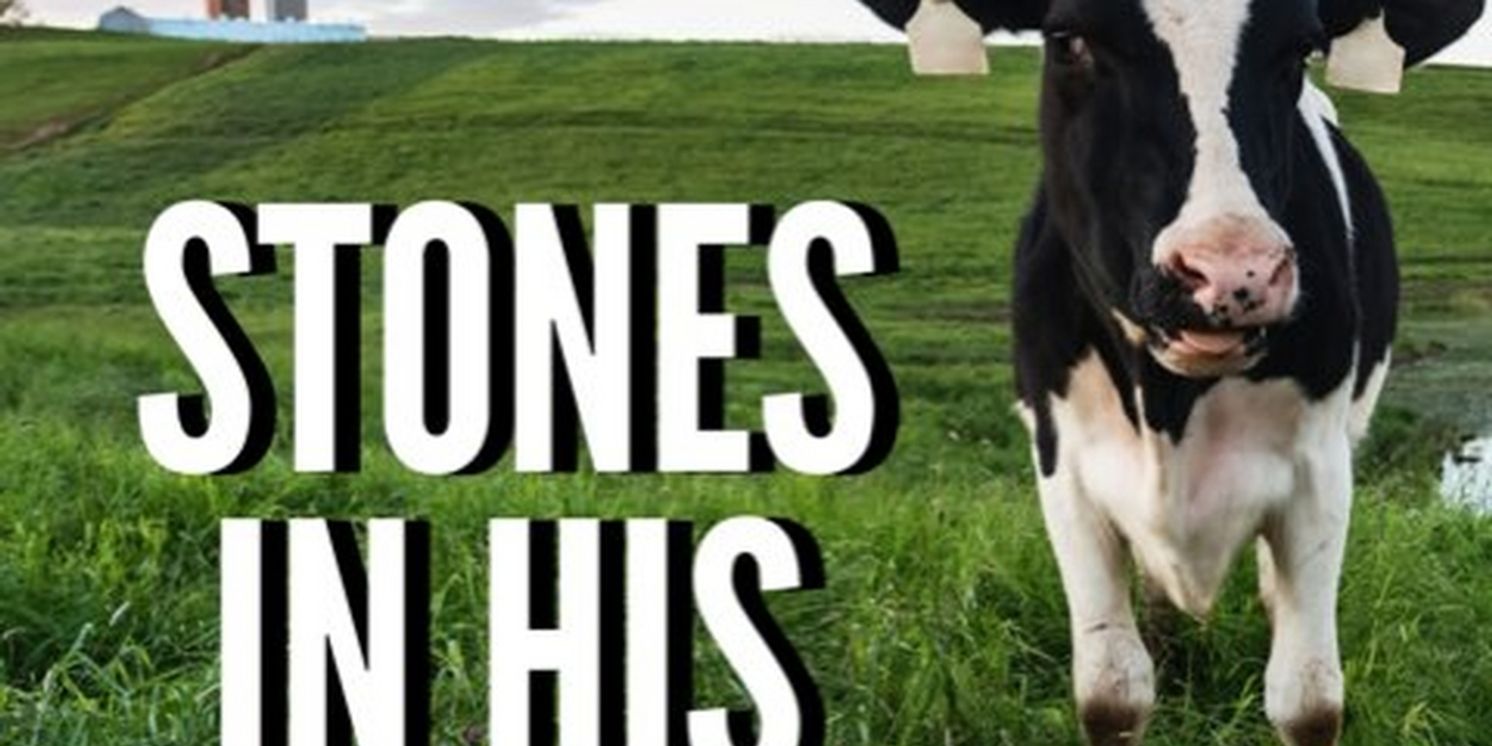 STONES IN HIS POCKETS Comes to The Weathervane Theatre  Image