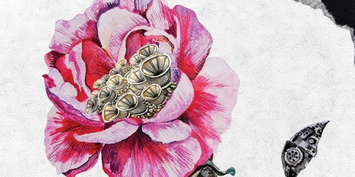 STRANGE MACHINES Album to Arrive via Phenotypic Recordings