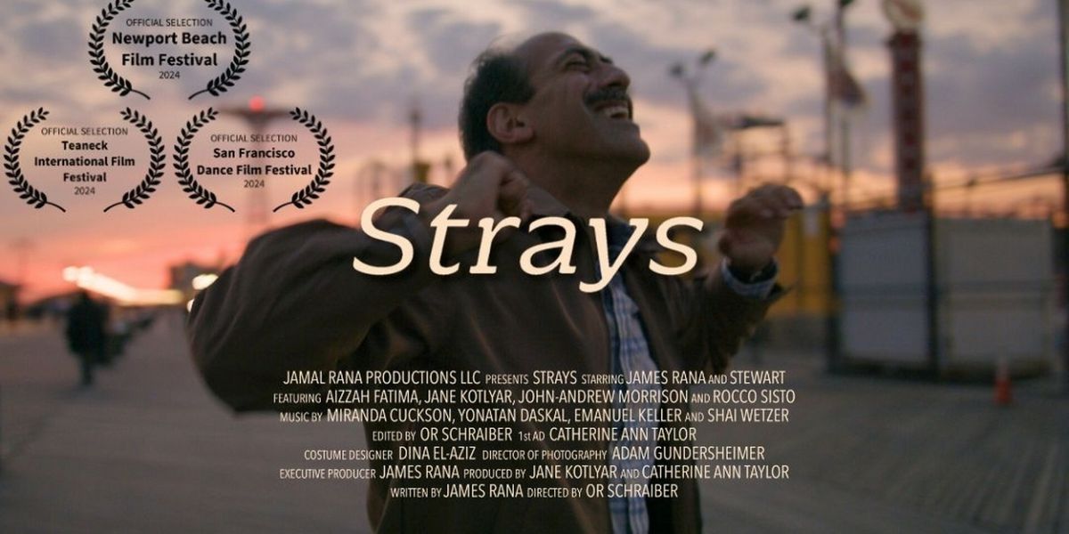 STRAYS to Screen at Delancey Street Theater in October