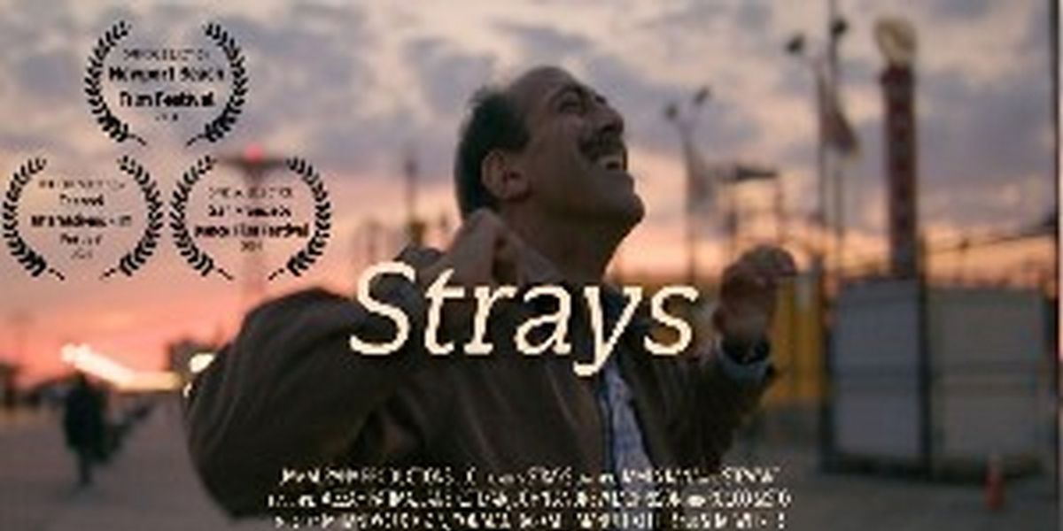 STRAYS To Premiere As Part of New York Shorts International Film Festival