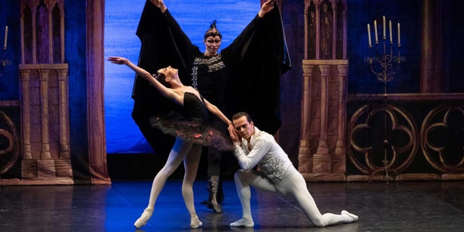 SWAN LAKE Comes to Teatro Tivoli BBVA  Image