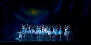 SWAN LAKE Highlights to Come to Stellenbosch With Cape Town City Ballet Photo