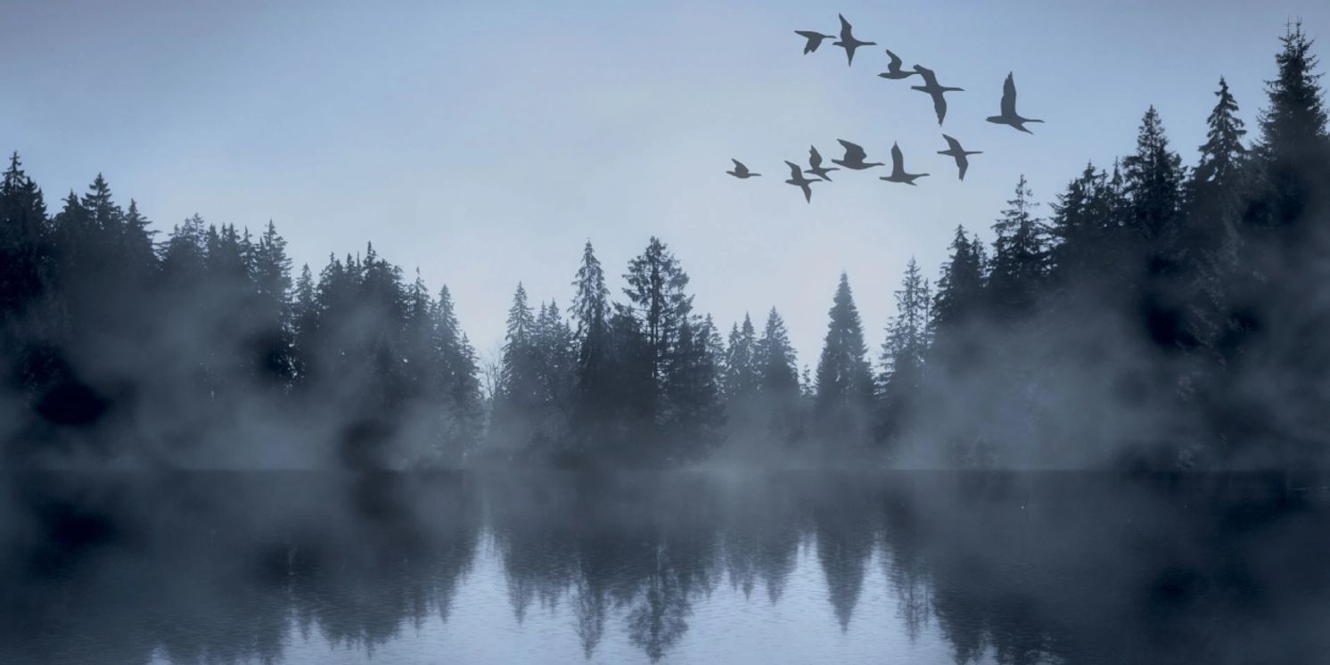 SWAN LAKE is Now Playing at the National Theatre in Prague  Image