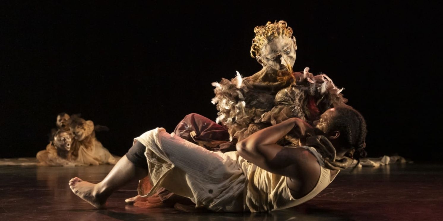 SWAN LANGUAGE Comes to the Paris Opera in December  Image