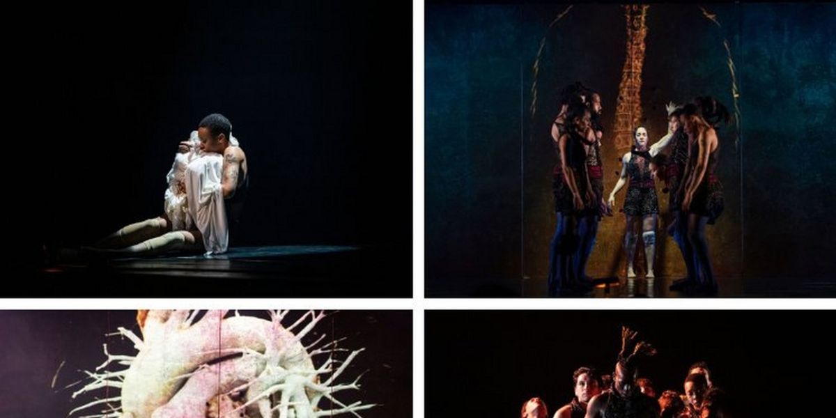 SYMPHONIE OF HEARTS Will Be Performed By Danse Danse in April