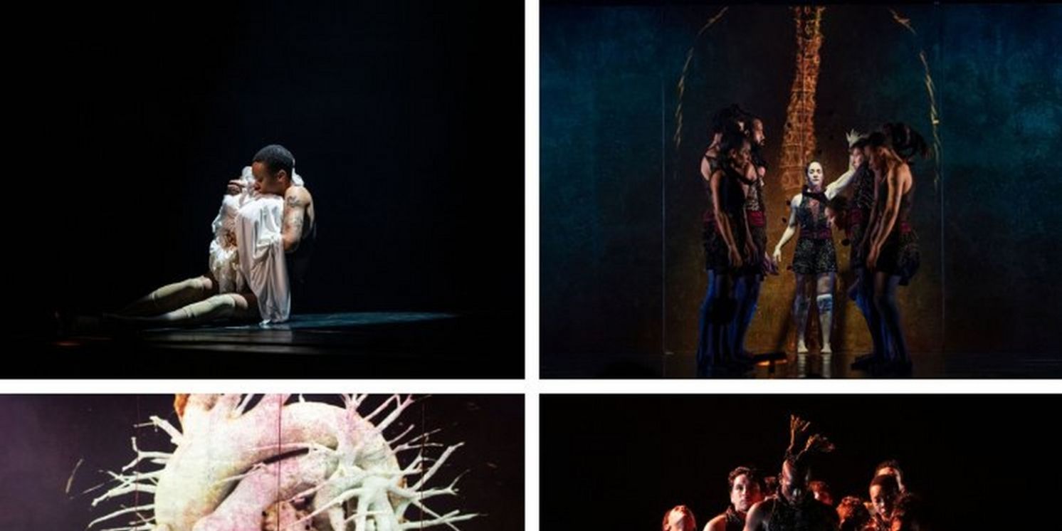 SYMPHONIE OF HEARTS Will Be Performed By Danse Danse in April  Image