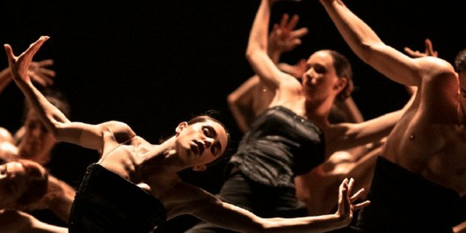 SYMPHONY OF SORROWS / CANTATA Comes to Bilheteira Teatro Camões in June  Image