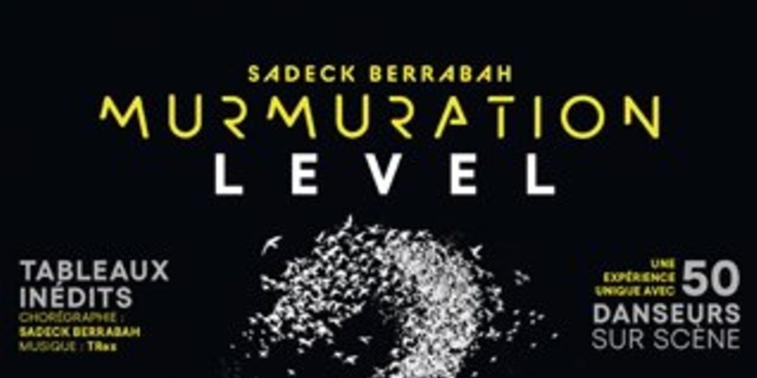 Sadeck Berrabah Will Bring MURMURATION to Geneva  Image