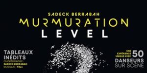 Sadeck Berrabah Will Bring MURMURATION to Geneva