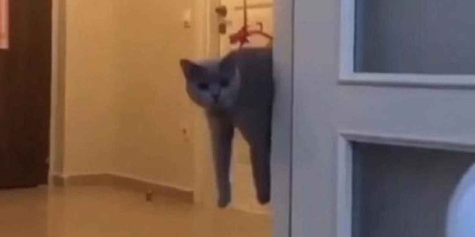 HAPPY BIRTHDAY MARS ROVER to be Presented at Sandbox Theatre Collective