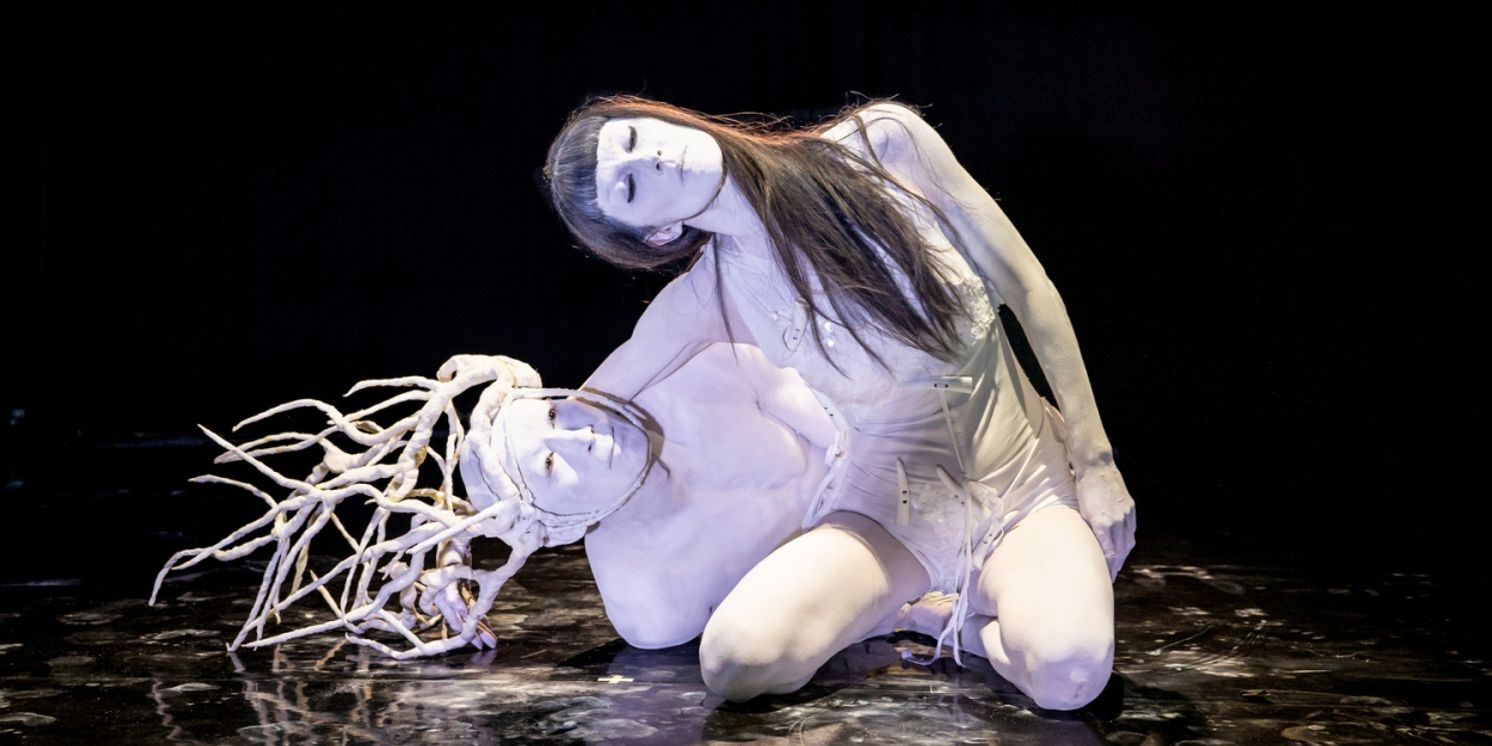 Vangeline Theater and ELF Launch Collaboration To Explore Heart Synchronization In Performance  Image