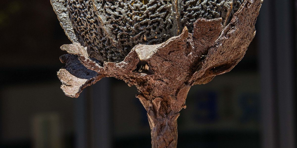SculptureWalk Awards Best Of Show For 2024 Exhibition