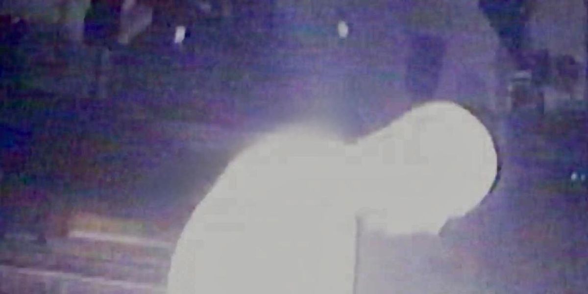 Sega Bodega Releases Live EP LIVE & ALTARED From Christ Church Set