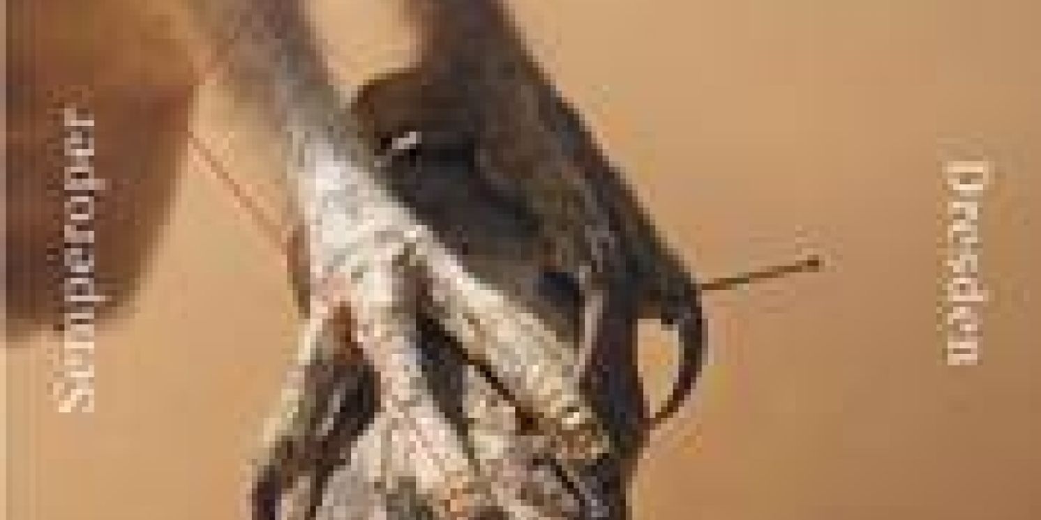 Semperoper Dresden Presents the Premiere Of TURNADOT On 7 October 2023  Image