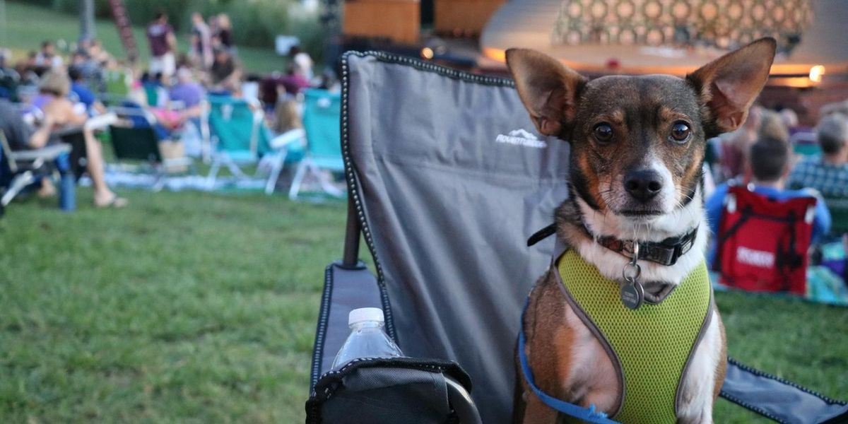 Shakespeare Dallas Extends Bark in the Park for THE MERRY WIVES OF WINDSOR and ALICE IN WONDERLAND