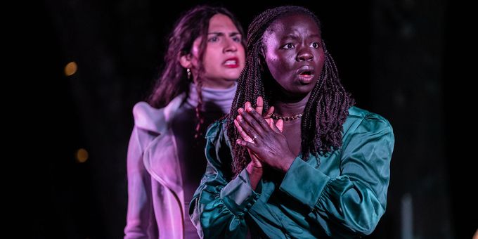 LEAR and MERRY WIVES Set for Shakespeare in the Woods 2026 Season Photos