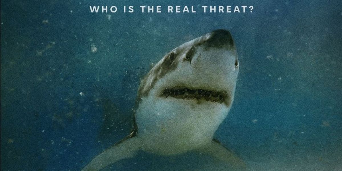 Shark Attack Documentary AFTER THE BITE Premieres on Max on July 26