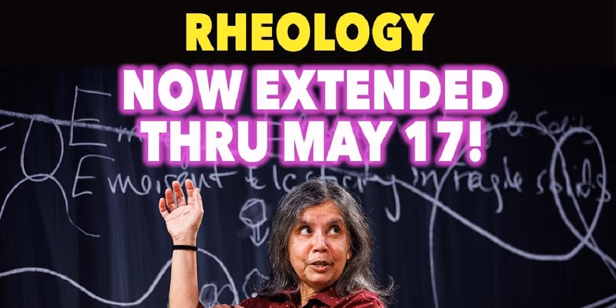 Shayok Misha Chowdhury's RHEOLOGY Extends at Brooklyn Starr