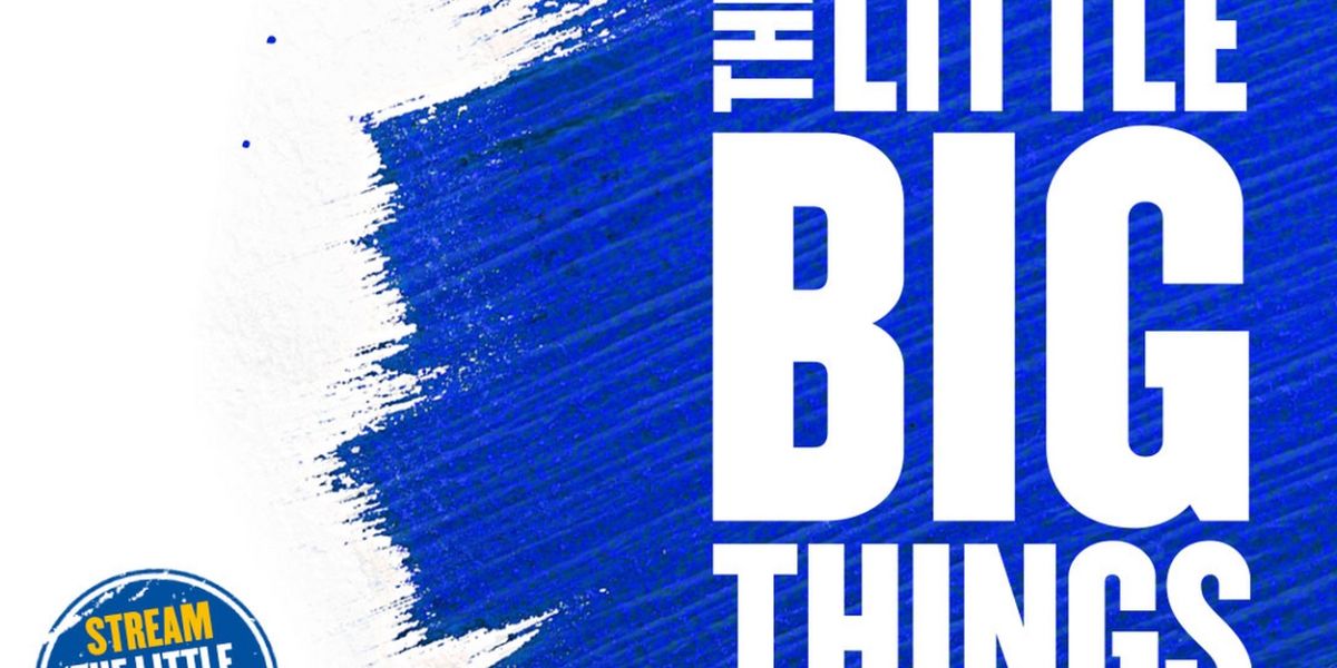 Show Of The Week: Save up to 48% on THE LITTLE BIG THINGS