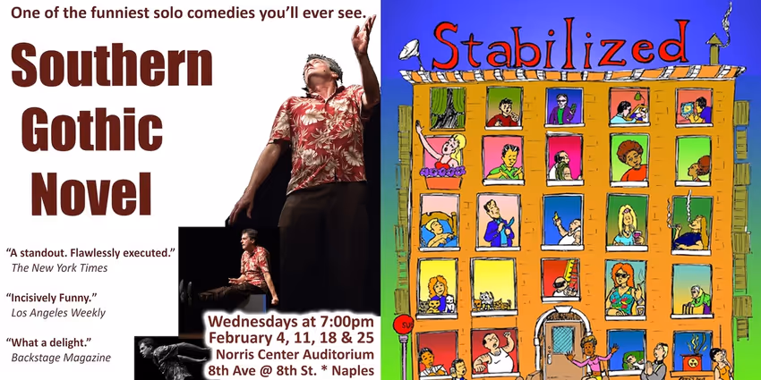 Solo Comedies SOUTHERN GOTHIC NOVEL and STABILIZED NOT CONTROLLED to Play at Norris Center Photo