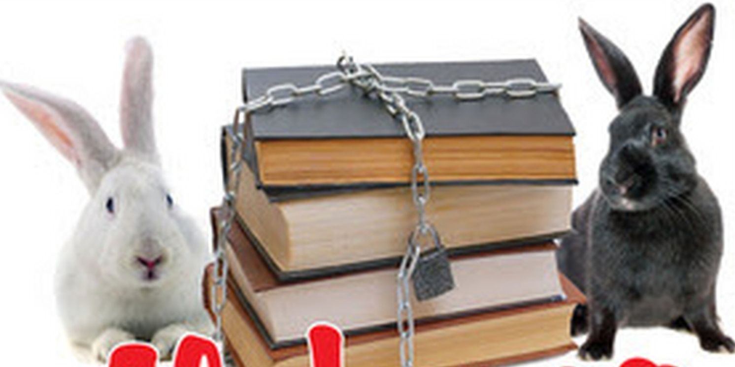 South Camden Theatre Co. Presents The NJ and Regional Premiere of ALABAMA STORY By Kenneth Jones  Image