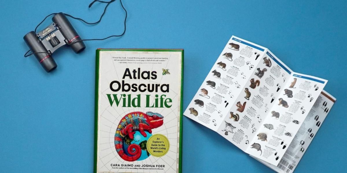 South Street Seaport Museum to Present 'Wild Life: An Explorer's Guide To The World's Living Wonders'