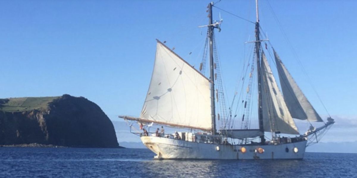 Discover the Future of Sustainable Shipping Aboard the Wavertree