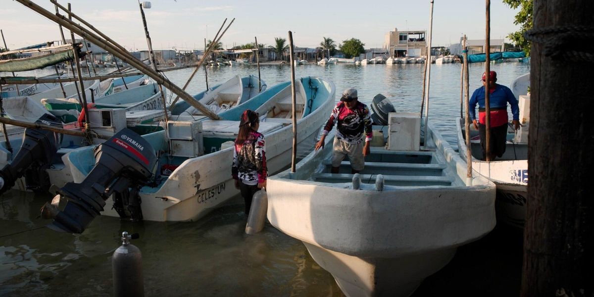 South Street Seaport Museum to Present CLIMATE FILM FESTIVAL Screenings