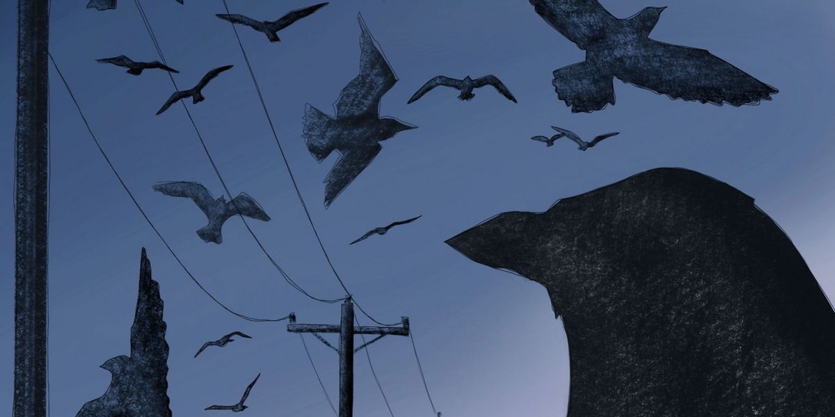 Spare Parts Puppet Theatre and Western Australian Academy of Performing Arts Celebrate 10 Years