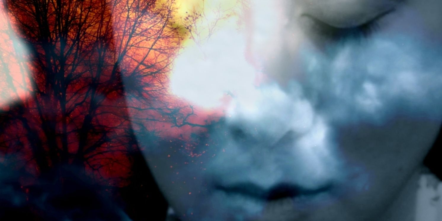 Sparks & Wiry Cries and National Sawdust Present the Ninth Annual NYC songSLAM In February  Image