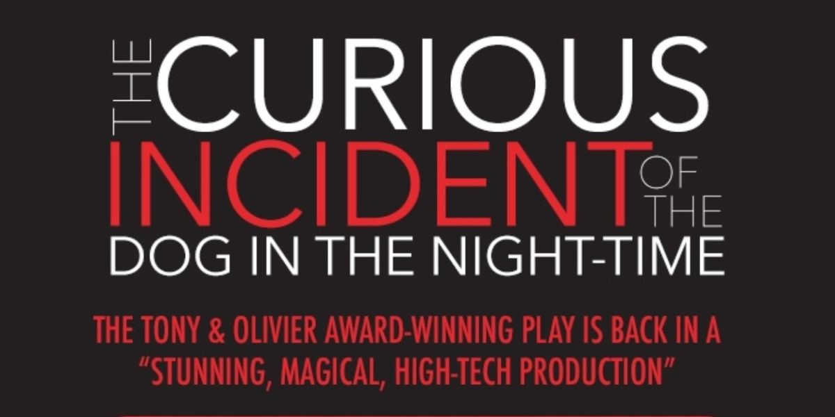 Spotlight: THE CURIOUS INCIDENT OF THE DOG IN THE NIGHT-TIME at Lewis Family Playhouse