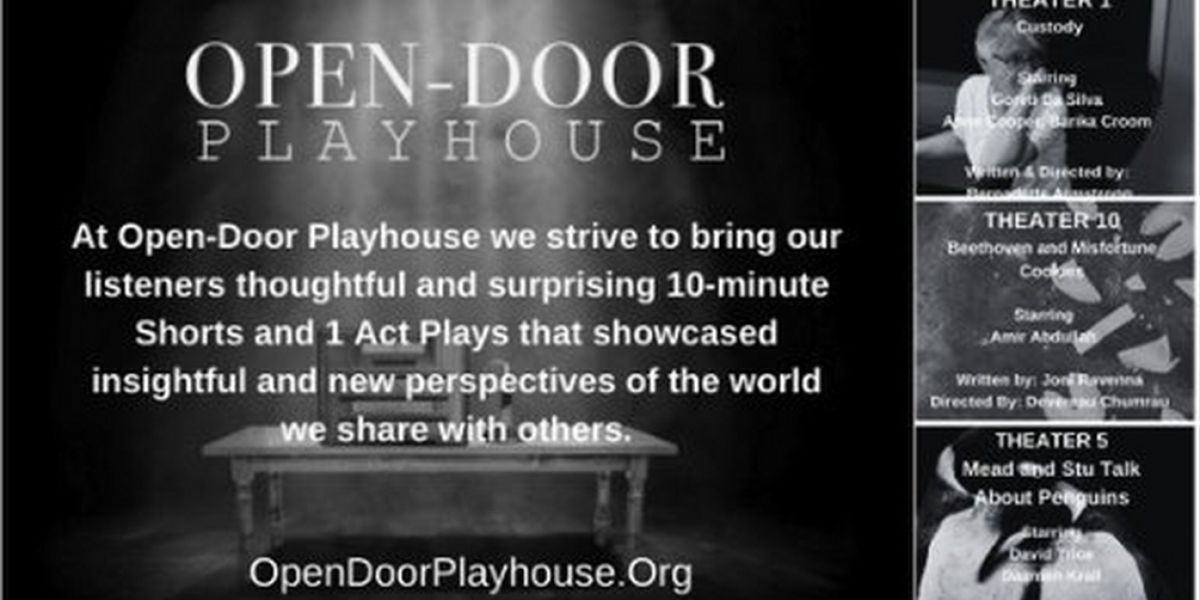 Spotlight: WE BRING THEATER TO YOU... at Open-Door Playhouse