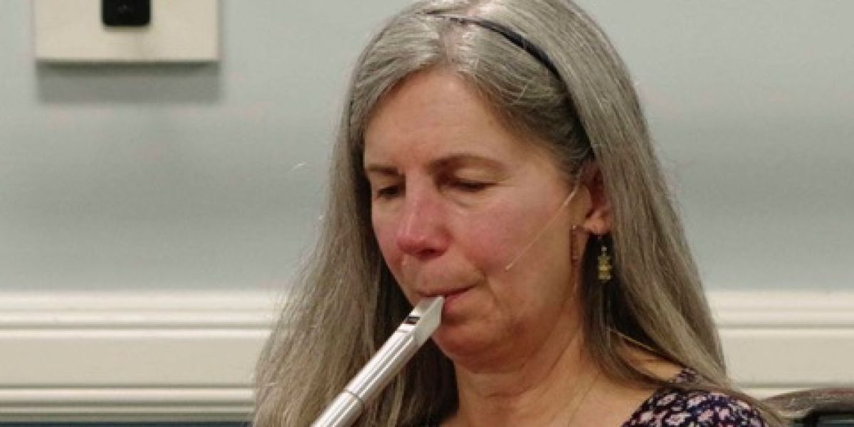 Springfield Chamber Players' LAST NIGHT'S FUN Brings Celtic Music To 52 Sumner