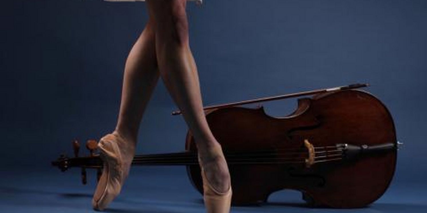 Stanley and Audrey Burton Theatre Reveal Autumn 2023 Programme  Image