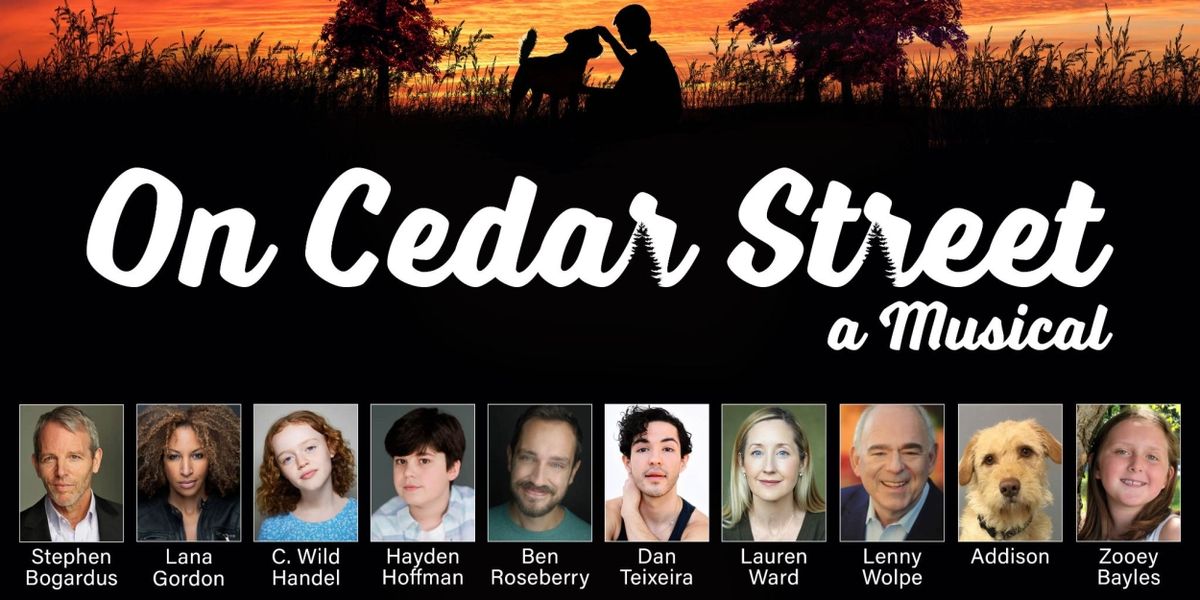 Stephen Bogardus, Lana Gordon & More to Star in World Premiere Musical ON CEDAR STREET at Berkshire Theatre Group