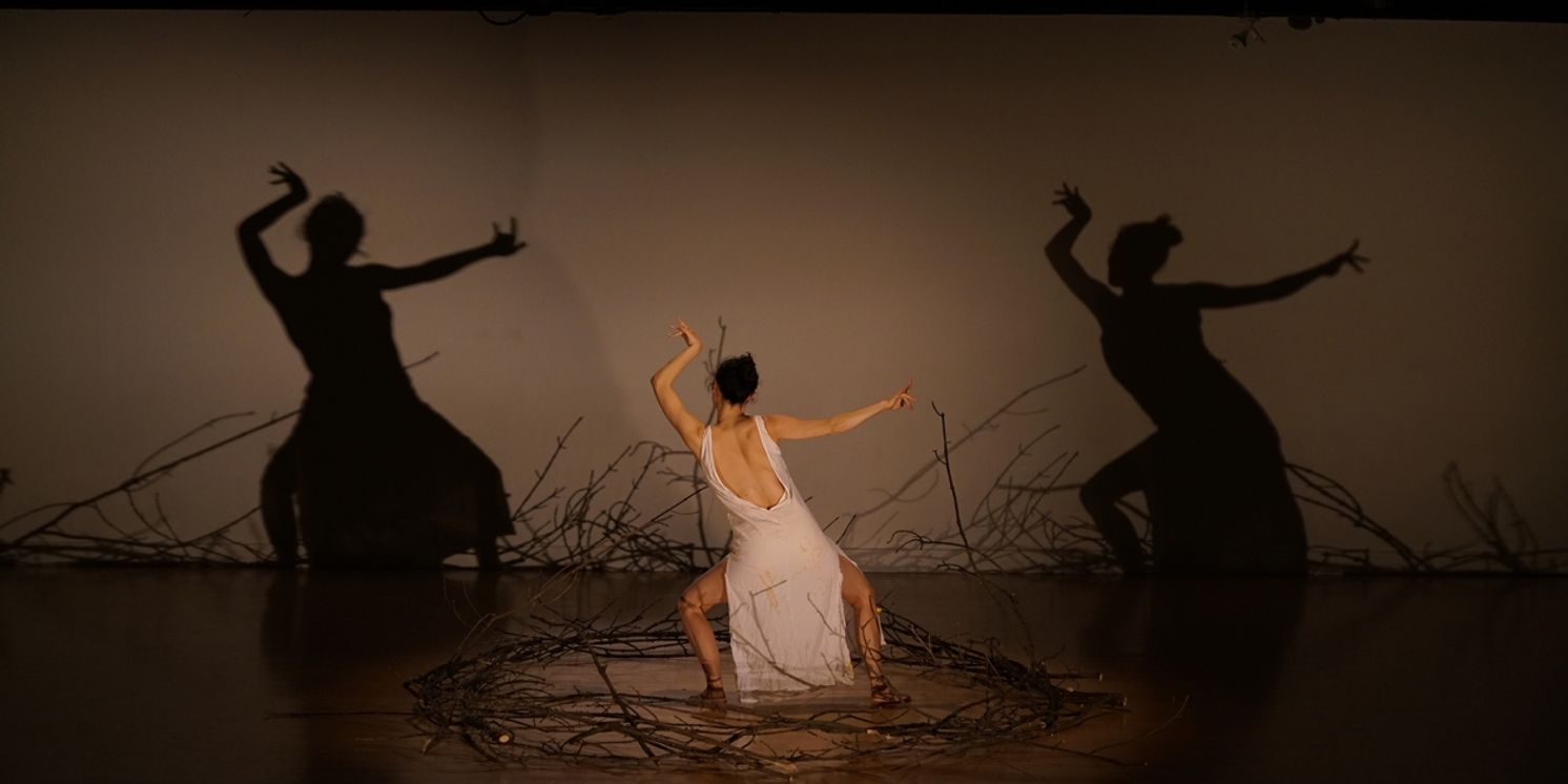 Steppenwolf Theatre Company Announces LOOKOUT Spring 2024 Season  Image