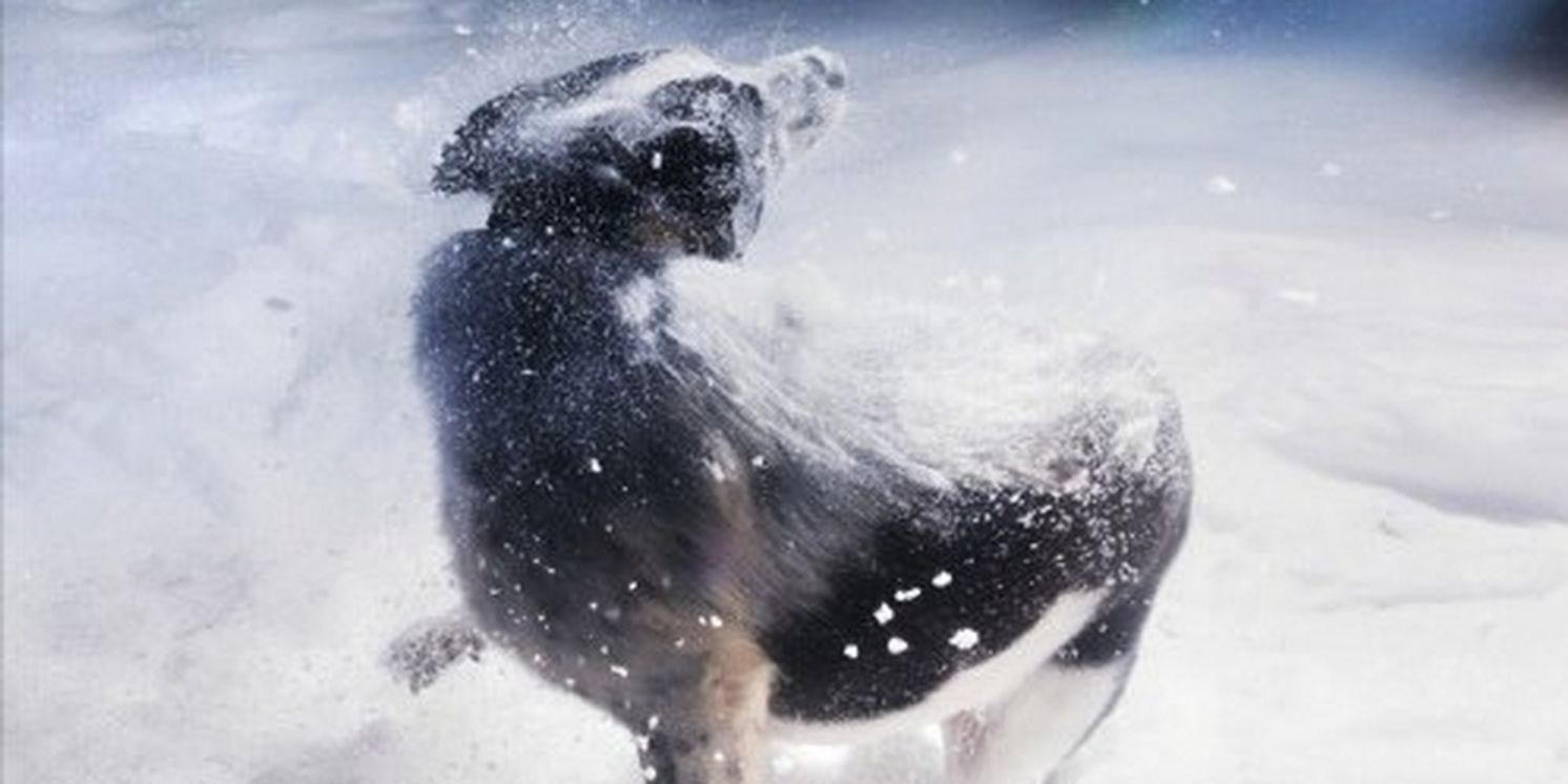 Stolen Jars Release New Single 'Smoke In The House'  Image