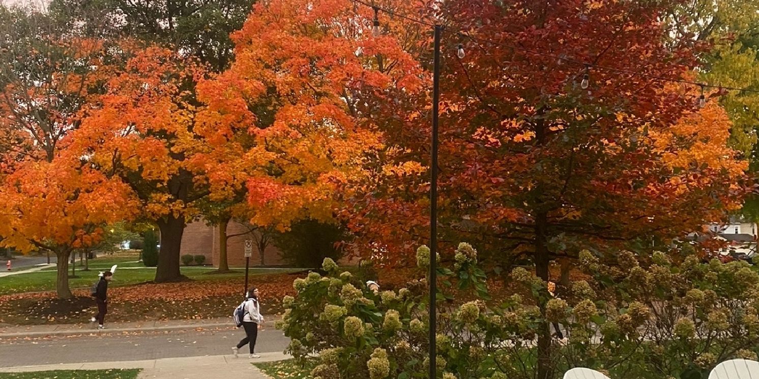 Student Blog: 5 Things I Am Grateful for in My BFA MT Program  Image