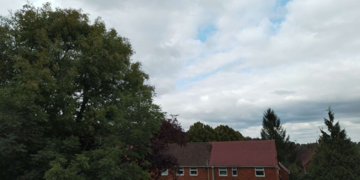 Student Blog: A Safe Rehearsal Space to Land