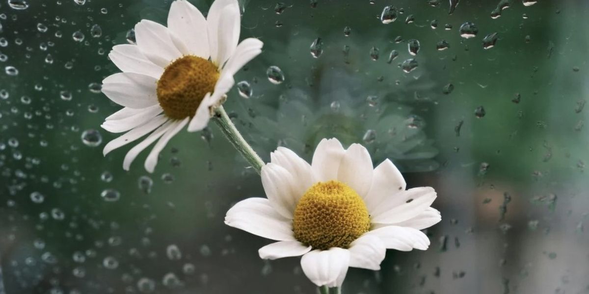 Student Blog: April Showers Bring Late Hours