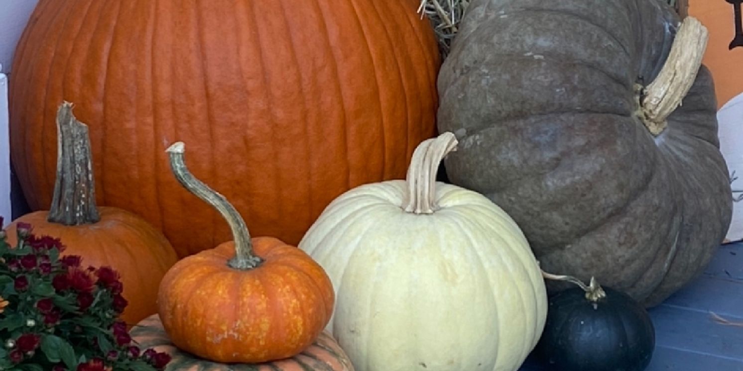 Student Blog: Back to School - Taking a Breath Junior Year  Image