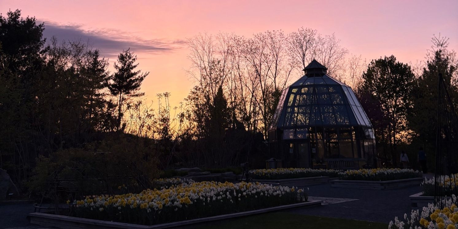 Student Blog: Balancing College: The Dos and Don’ts  Image