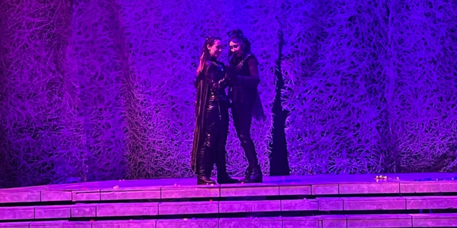 Student Blog: Comfort Zones - How to Safely Escape Them  Image