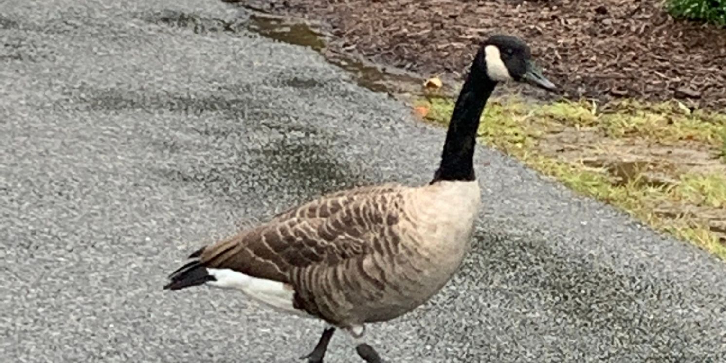 Student Blog: First Month of the Semester!  Image