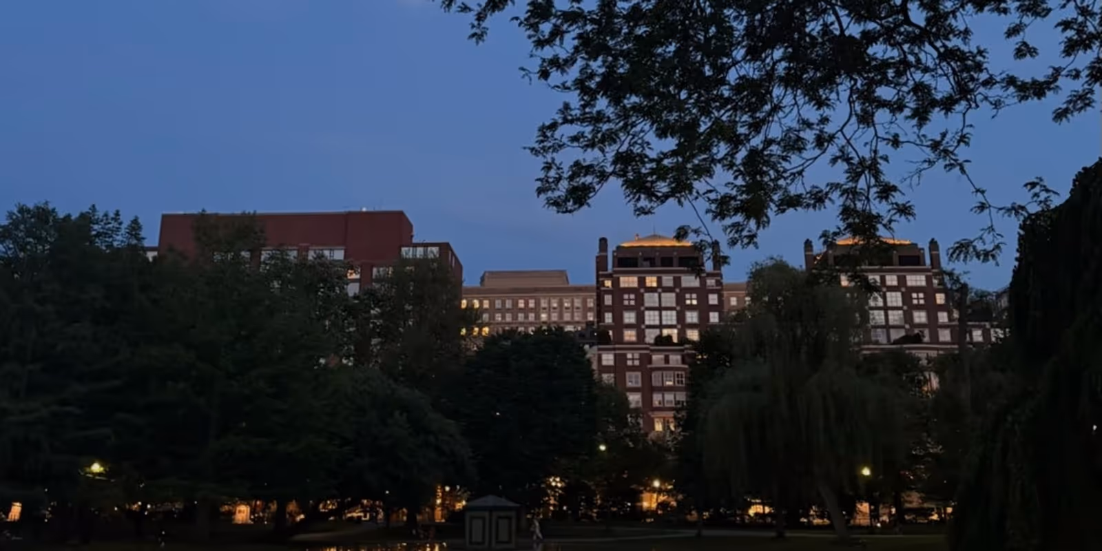 Student Blog: For Anyone Missing Home This Summer