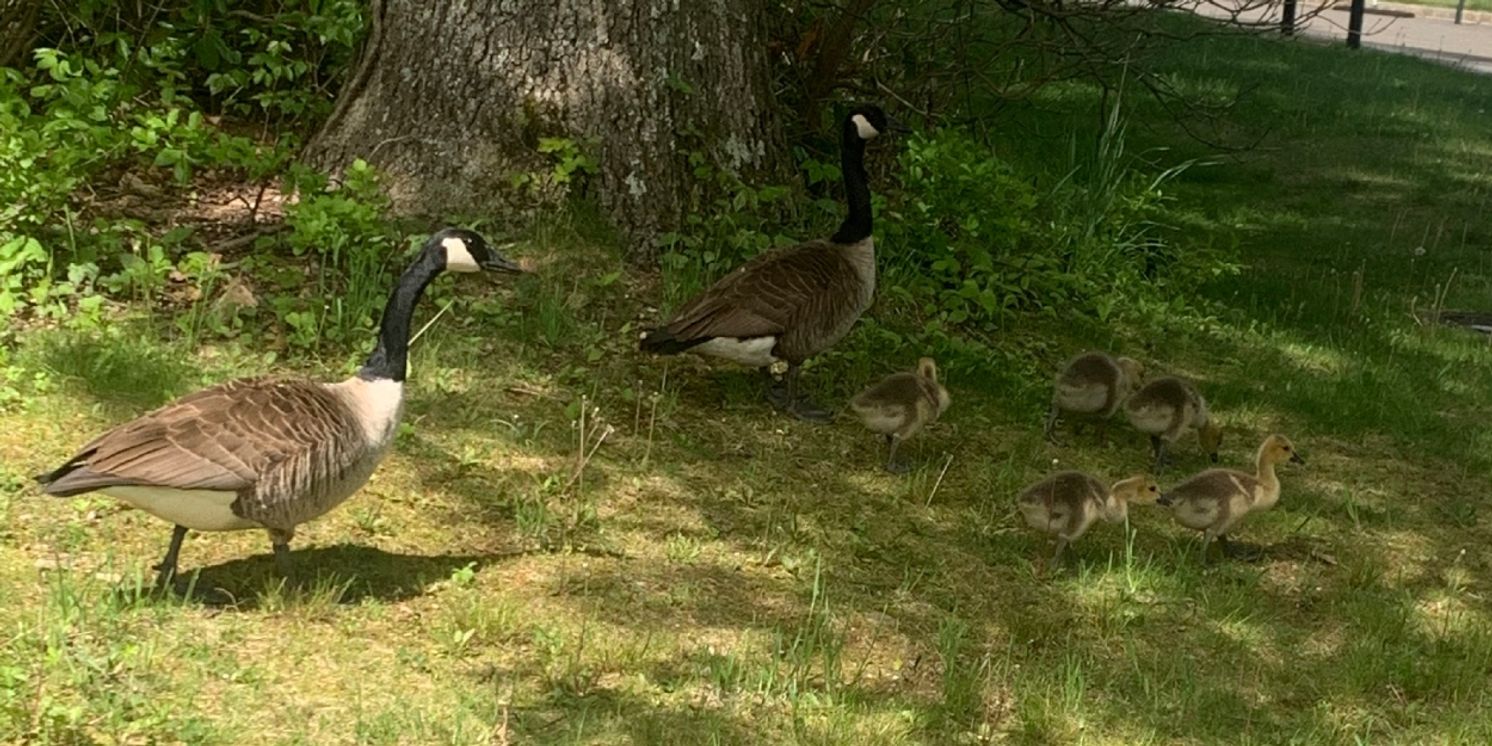 Student Blog: For Future Students of the Arts  Image