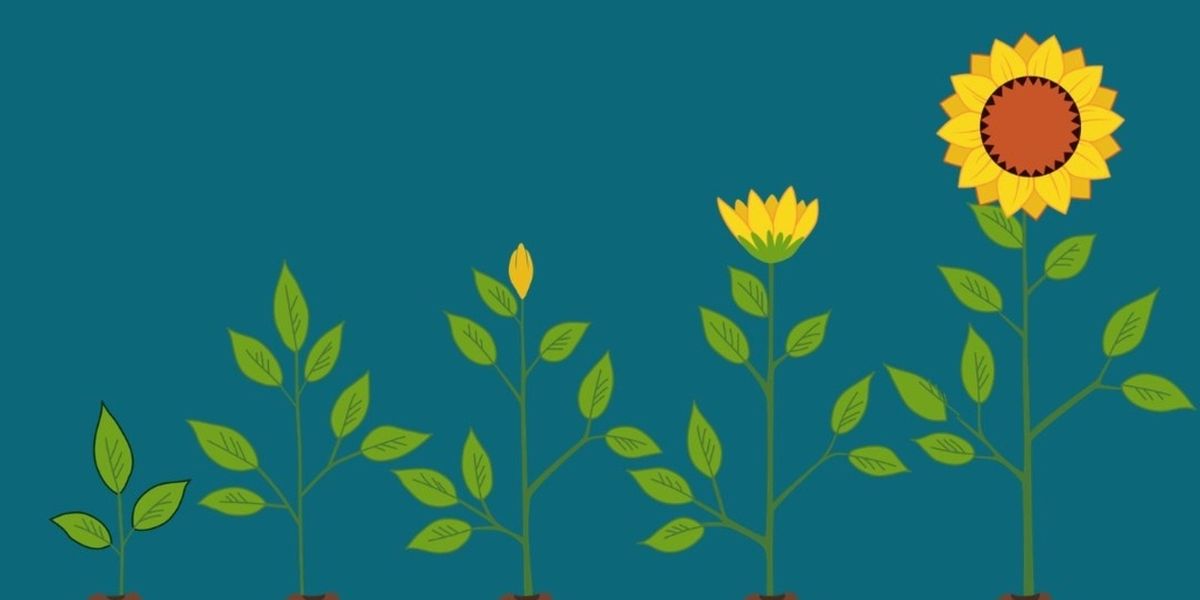 Student Blog: Growing on My Own Timeline
