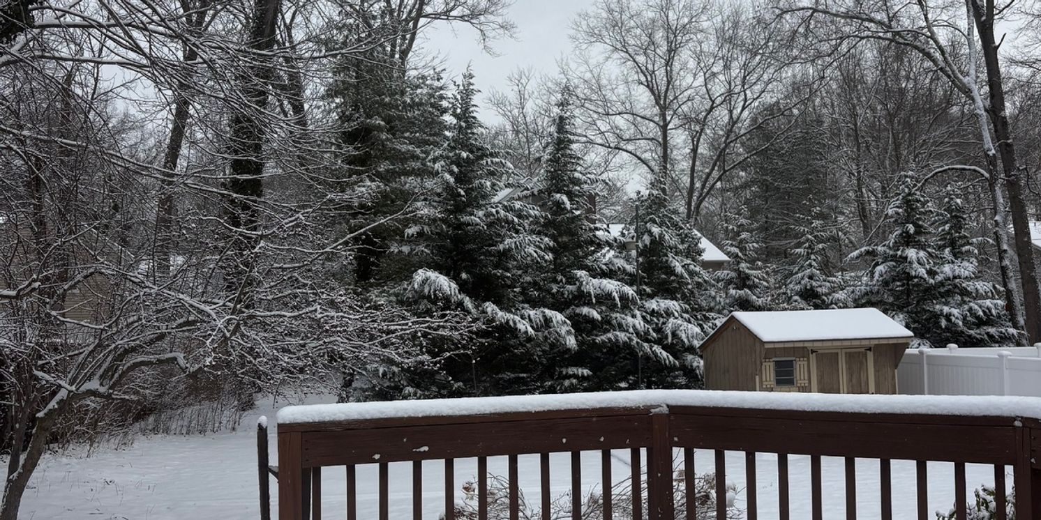 Student Blog: Healthy and Fun Habits for 2026  Image