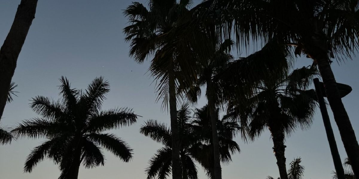 Student Blog: Home for the Holidays: The Importance of Recharging