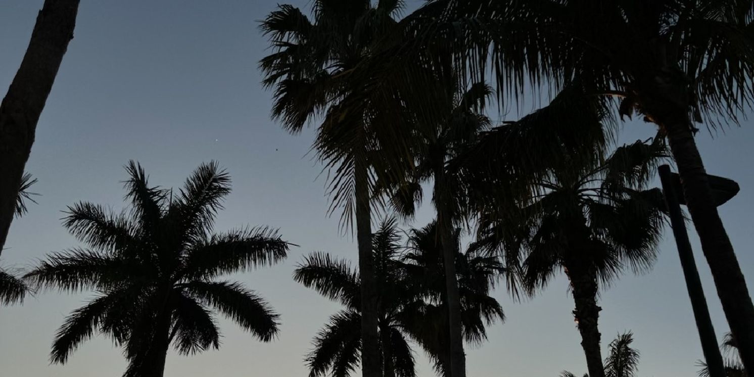 Student Blog: Home for the Holidays: The Importance of Recharging  Image